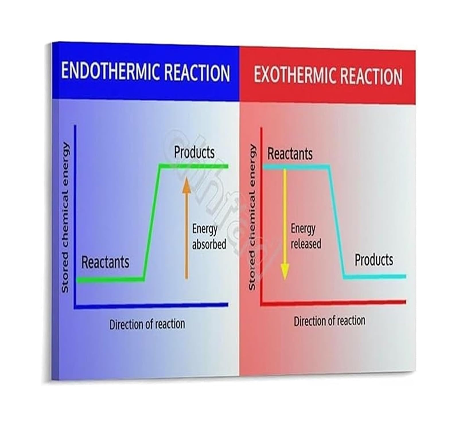 IDGTTLDF Educational Endothermic Exothermic Reactions Diagram Chemistry Metal Sign for Science Classroom Laboratory Teachers Students 8 X 12 in