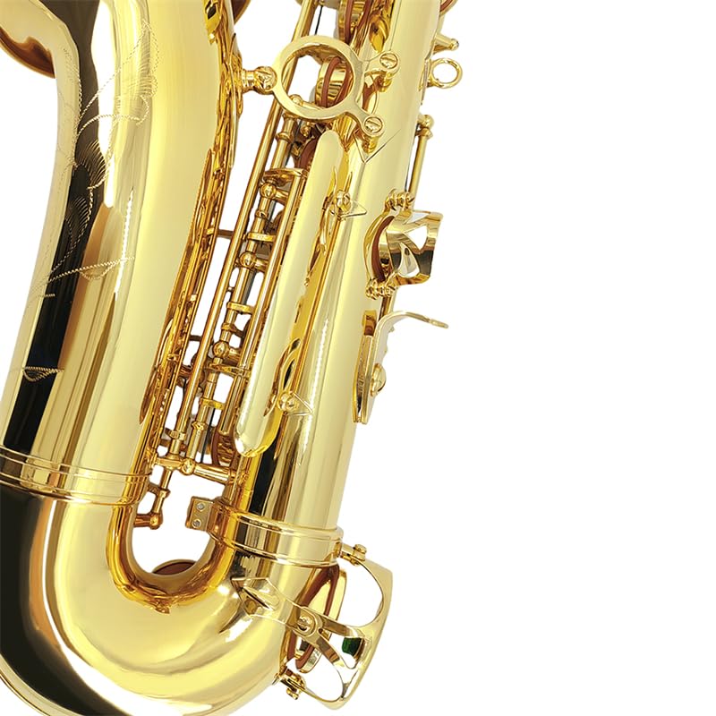 Image of Alto Saxophone E Flat for Adults Students Saxophone Beginner Kit with Mouthpiece Carrying Case Straps 10Reeds