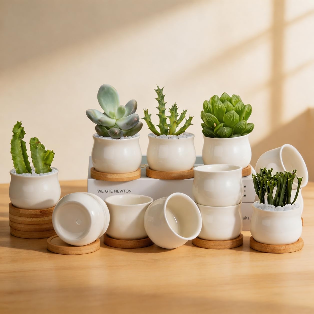 ZOUTOG 12 Pack Mini Ceramic Pots White