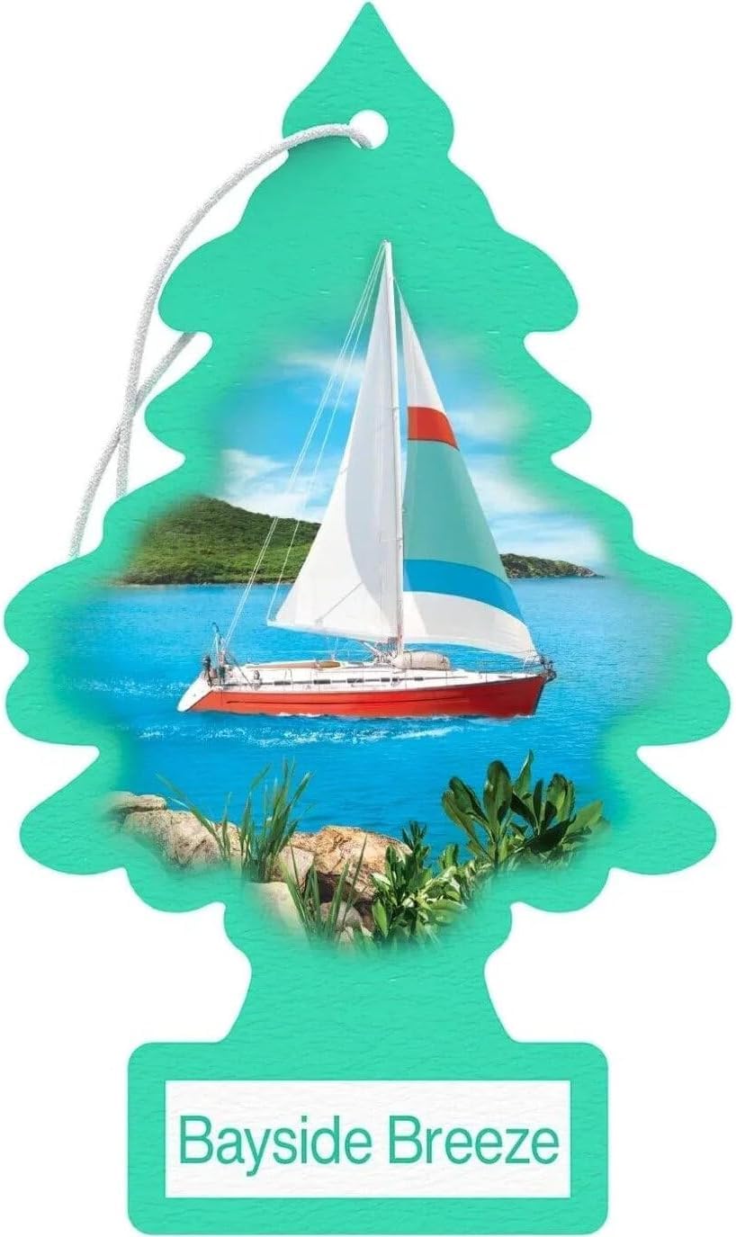 Little Trees Cardboard Hanging Car, Home & Office Air Freshener, Bayside Breeze (Pack of 12)