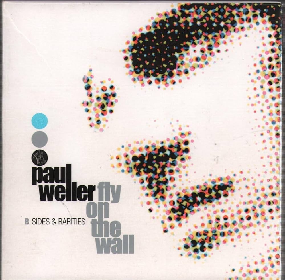 洋楽 Fly on the Wall B Sides & Rarities Fly on the Wall: B-Sides & Rarities 1991-2000: Paul Weller