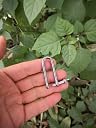 JY-Marine Long D Shackle Stainless Steel Shackle Load Clamp for Chains Wirerope Lifting Paracord Outdoor Camping Survival Rope Bracelets 5/32 Inch 4mm Marine Grade,2pk gallery image