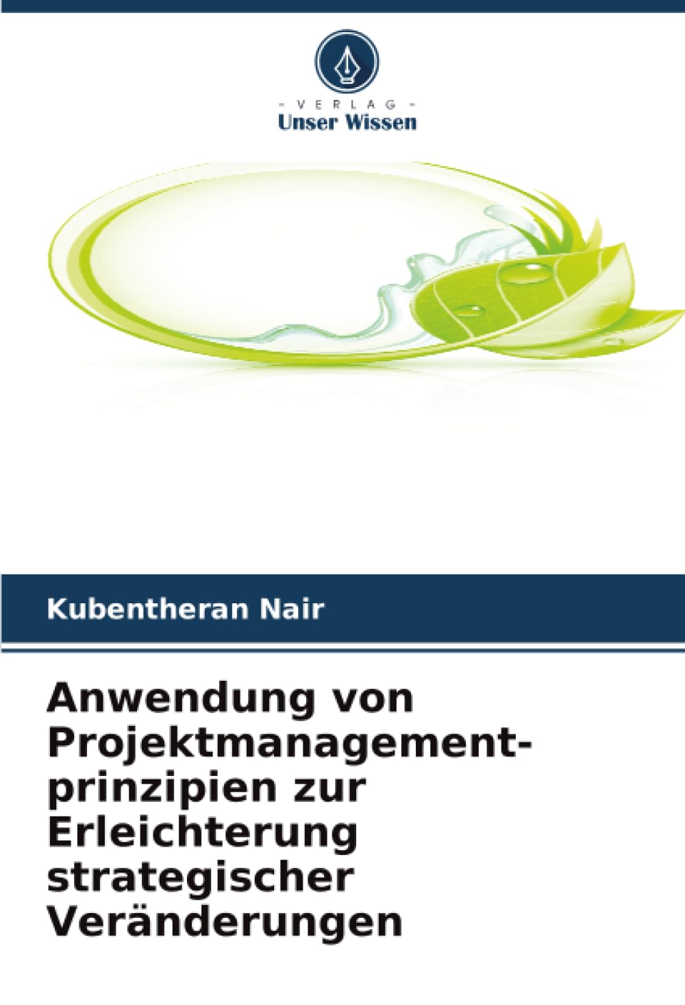 Anwendung von Projektmanagement- prinzipien zur Erleichterung strategischer Veränderungen