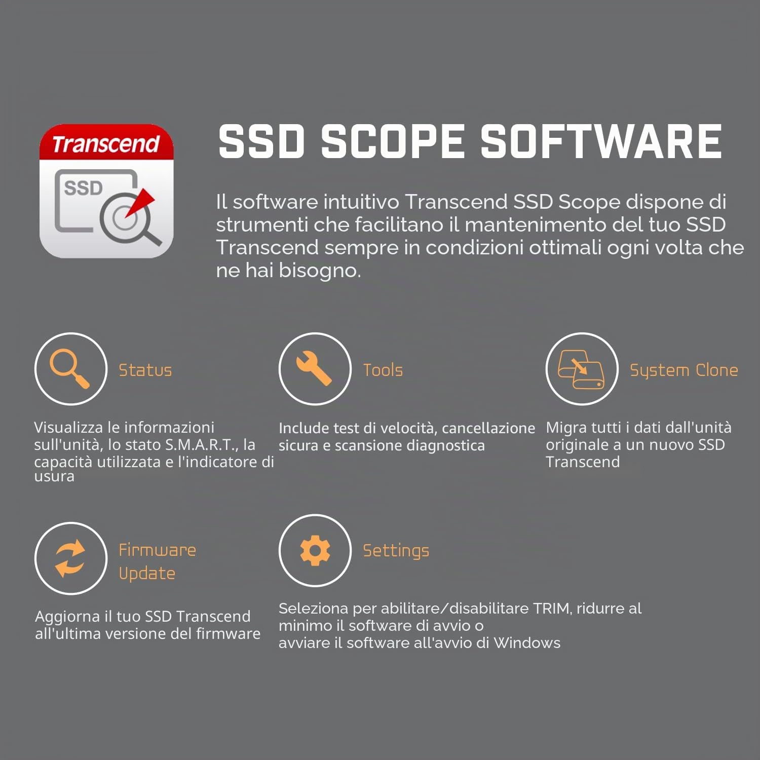 Transcend MTE300S 256 GB NVMe PCIe Gen3 x4 M.2 2230 unità Interna a Stato Solido (SSD) 3D TLC NAND (TS256GMTE300S)