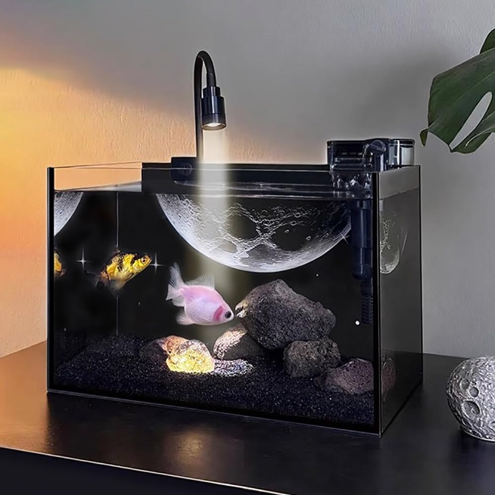 Betta Fish Tank Starter Kit, Aquarium with Lighting and Filtration System, Ultra-Clear Frameless Leak-Proof Tank, Suitable for Keeping Betta Fish
