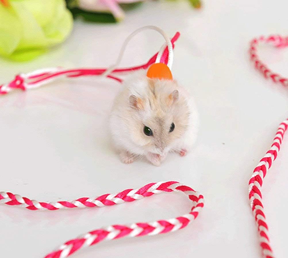 dwarf hamster harness