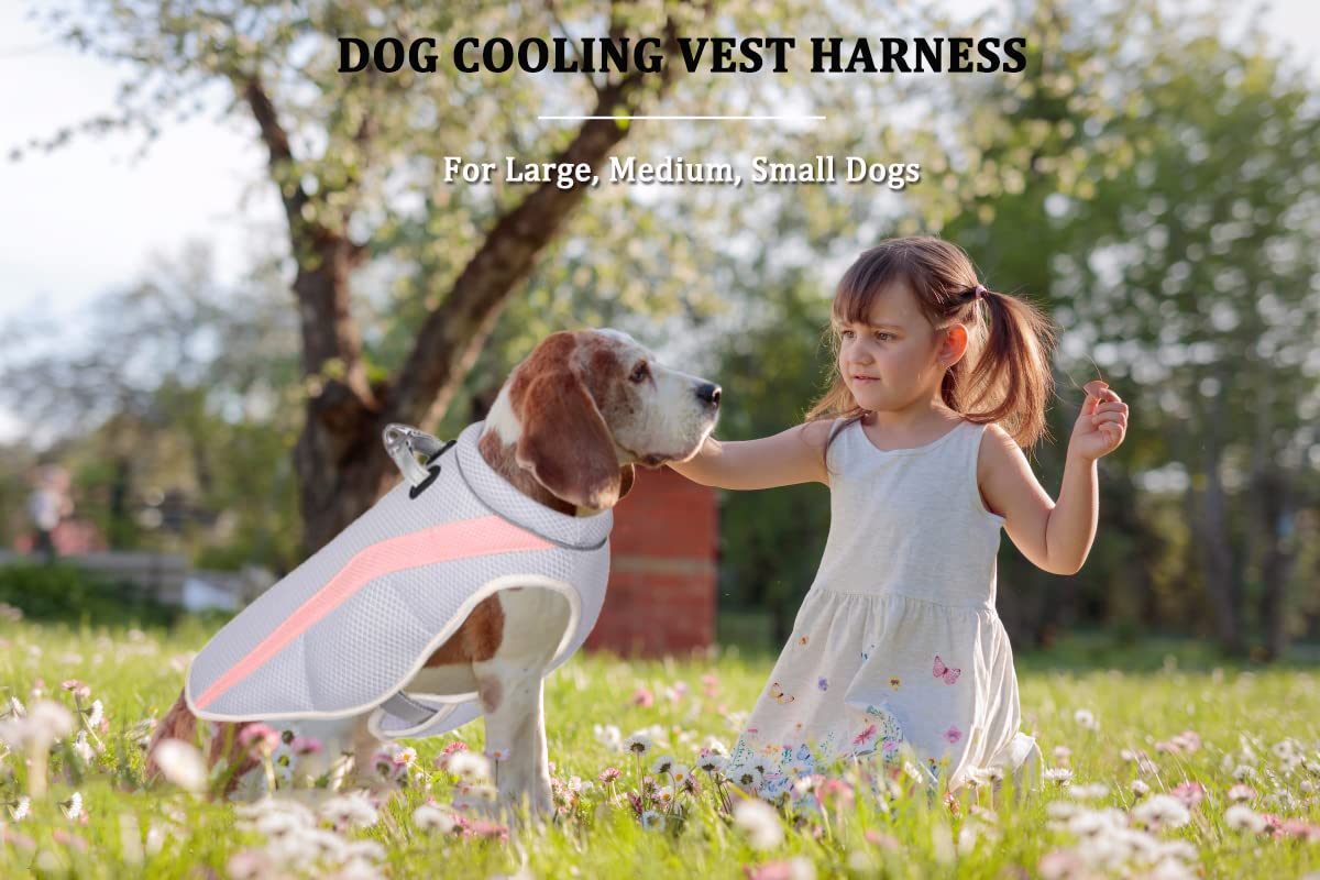 Harnais Gilet Rafraîchissant pour Chien Veste Rafraîchissante pour Chien en Maille Respirante Manteau Rafraîchissant et Confortable Ajustable avec Bande Réfléchissante pour Petits/Moyens/Grands Chien