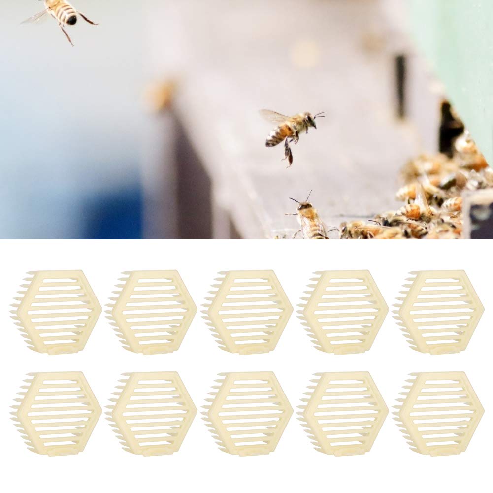 Wittex Umlarvlöffel Aus Edelstahl – Flach, 15 Cm, Steriliserbar, Für Die Bienenzucht Bienenzucht Werkzeug Sterilisierbar Wittex Umlarvlöffel Aus Edelstahl – Flach, 15 Cm, Steriliserbar, Für Die Bienenzucht Bienenzucht Werkzeug Sterilisierbar