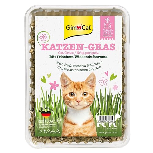 GimCat Hierba para Gatos 150 g - Hierba para Gatos con cría rápida en sólo 5 a 8 días - 1 Cuenco (1 x 150 g)