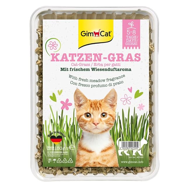 GimCat Hierba para Gatos 150 g - Hierba para Gatos con cría rápida en sólo 5 a 8 días - 1 Cuenco (1 x 150 g)