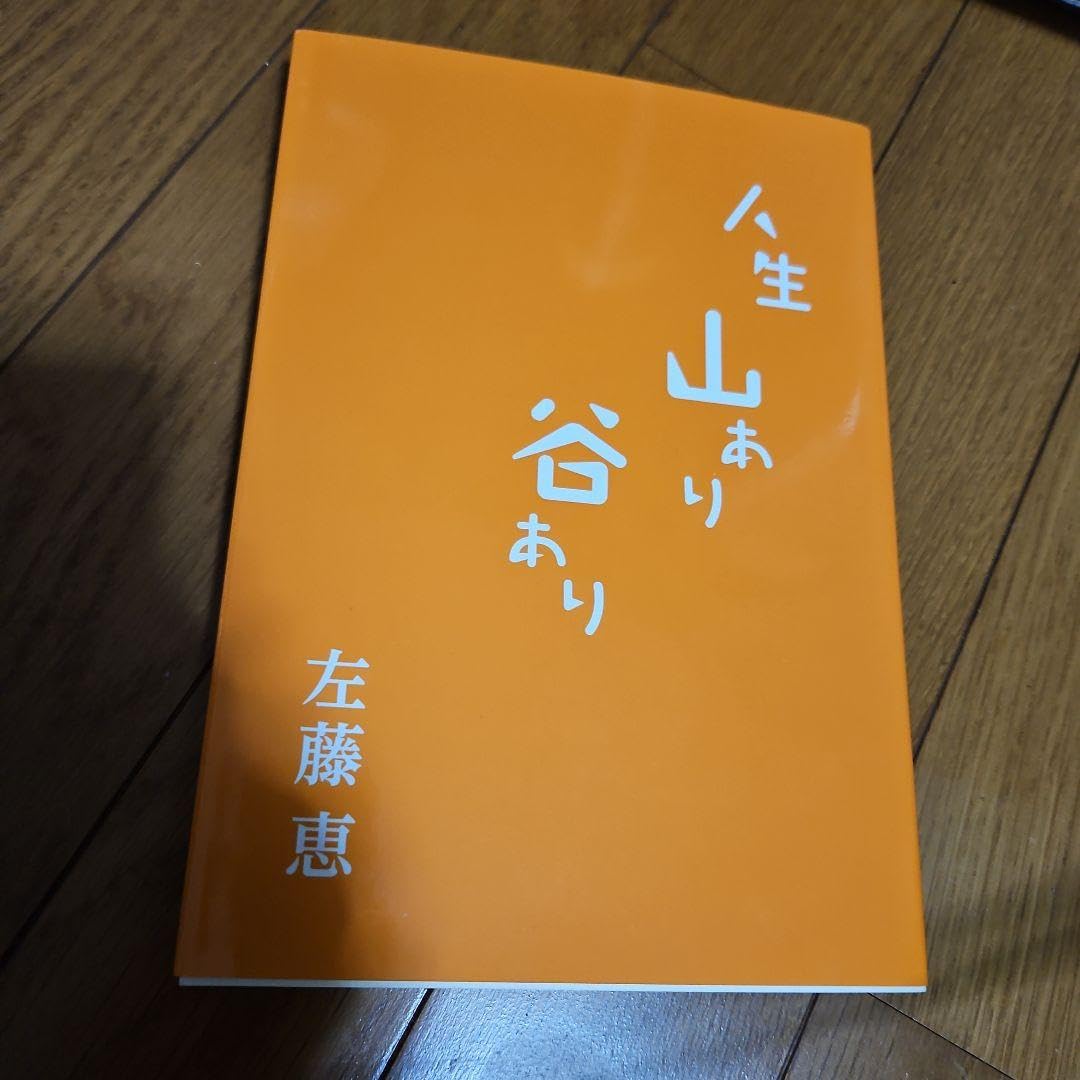 Amazon.co.jp: 本 著者 左藤恵 「人生 山あり 谷あり」 : 文房具