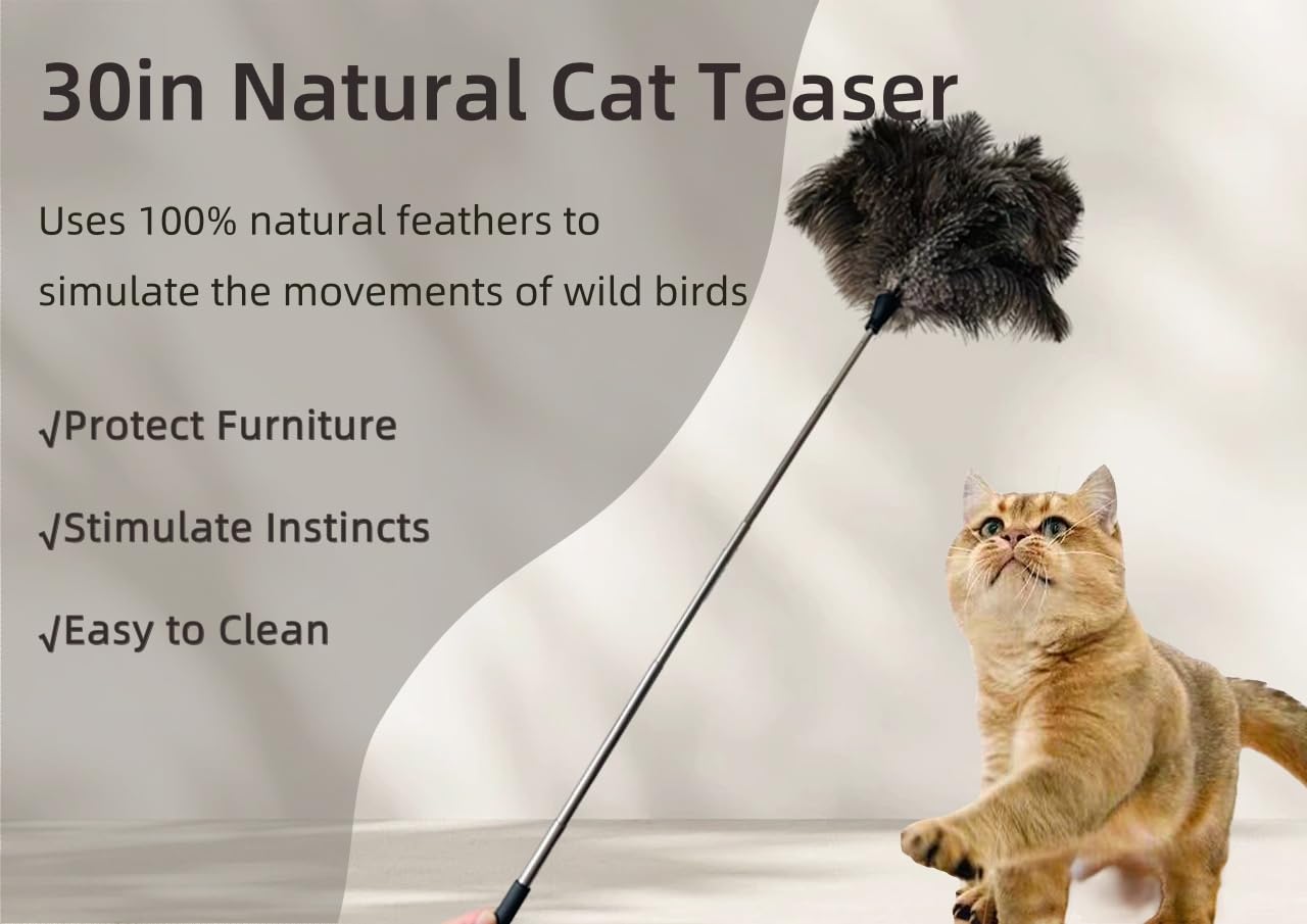 hongwei1952 Natural Ostrich Feather Cat Teaser, 30in Total Length, Stainless Steel Telescopic Rod - Image 2