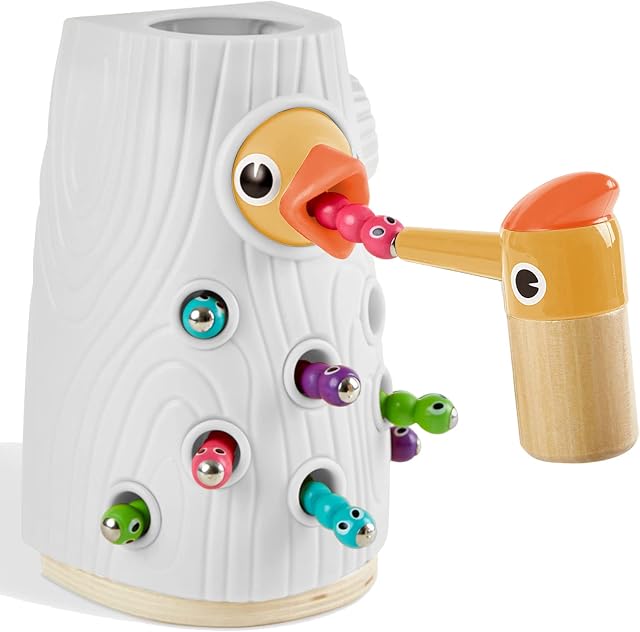 TOP BRIGHT Toddler Magnetic Bird Toys for 2 3 Year Olds Boy Girl Gifts, Learning Games for Two Year Old Birthday Present, Montessori Sensory Toys for Kids Age 2 3 4