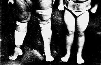 Amazon.com: Tomasz Gudzowaty: Sumo: 9783775751957: Gudzowaty