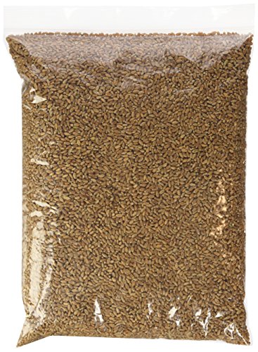 Non-gmo Certified Organic Hard Wheat Berries for Wheatgrass Juice - 5 Pounds Wheatgrass; Grind Into Whole Wheat Flour; Pet Grass; Cat Grass; Ornamental Grass for Decorating; Ornamental Wheatgrass