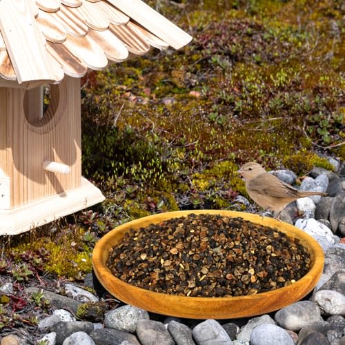 Lyra Pet® 20 kg Buchweizen | Reich an Proteinen, Kohlenhydraten & Ballaststoffen | Ergänzungsfutter für Wildvögel & Kleinnager | Nährstoffreiches, ganzjähriges Vogelfutter | Ideal für Streufutter