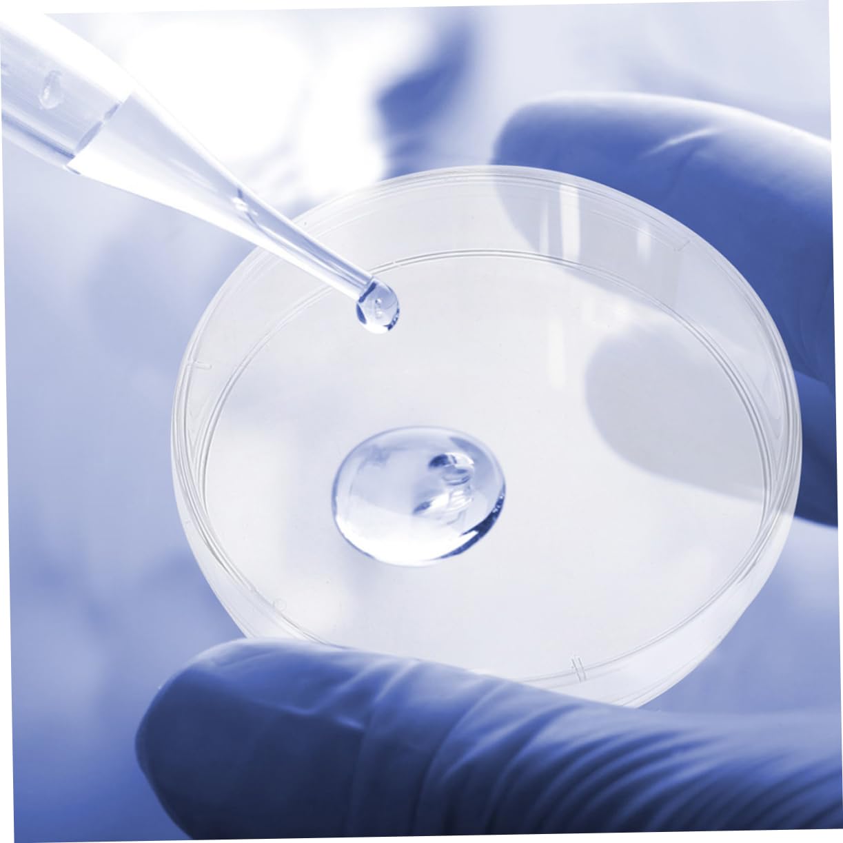 Gatuida 50piezas Placas De Petri Transparentes De Plástico Para Cultivo Celular De Unidades Para Experimentos Científicos y Educación