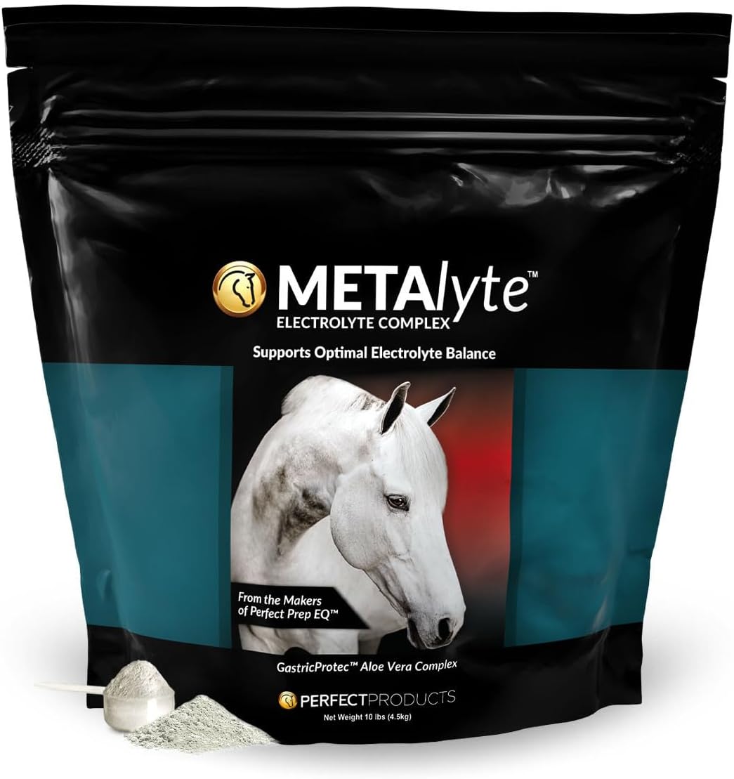MetaLyte Complete Equine Electrolyte with Gastric Soothing Aloe Vera, Great Tasting Powder Formula (2 lb, 60 Day Supply)