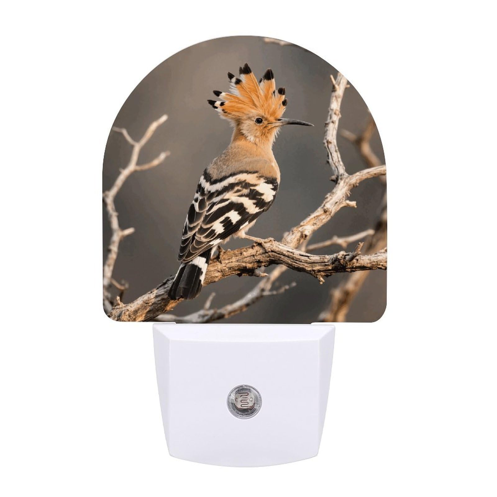 FodPand Night Light Plug Into Wall with Dusk to Dawn Sensor 0.5w Modern LED Hoopoe Plug in Night Lamp Warm White Glow Nightlight for Bedroom Hallway Kitchen Bathroom Stairs Corridor(Fan)