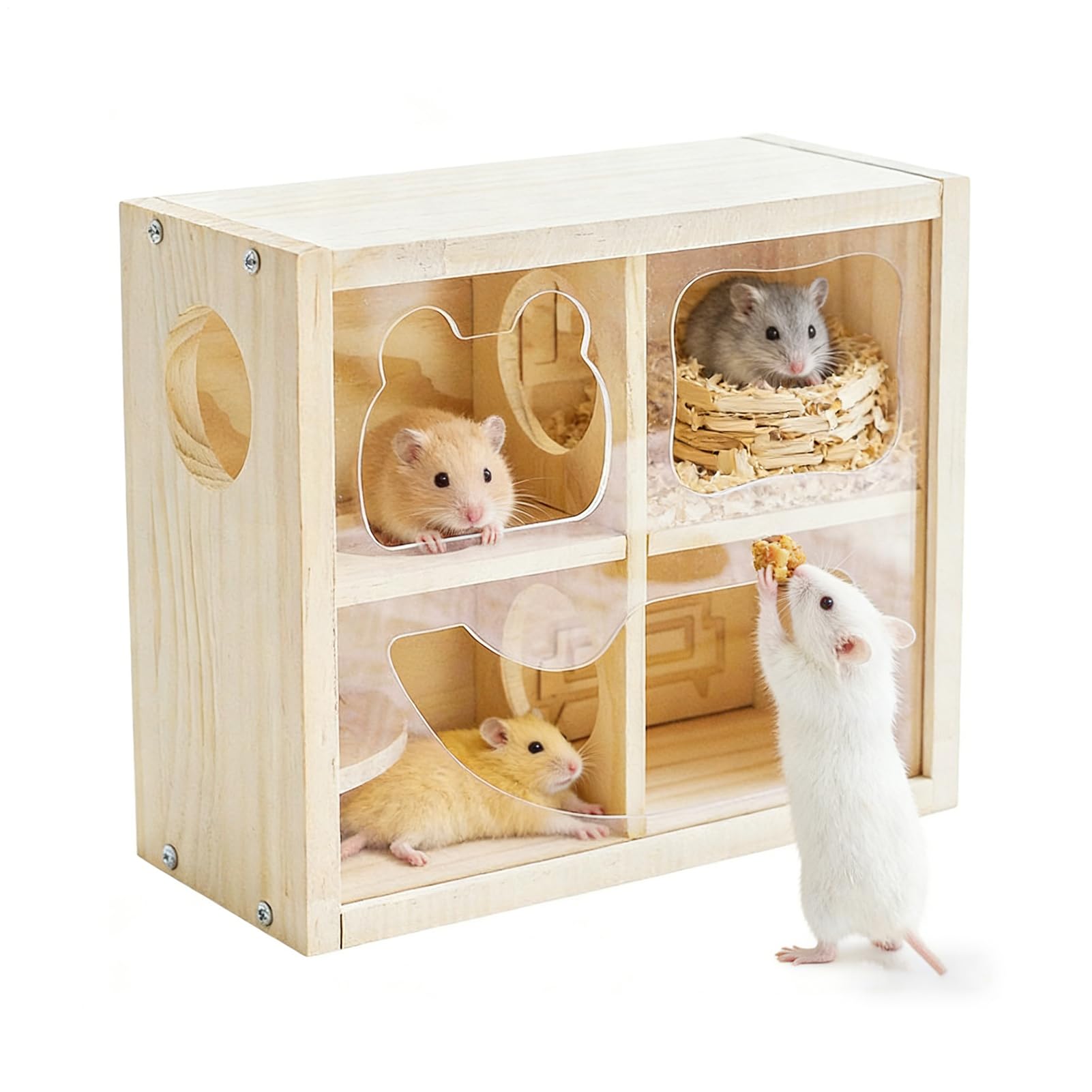 Enclos d'intérieur pour petits animaux et hamsters en liberté surveillée