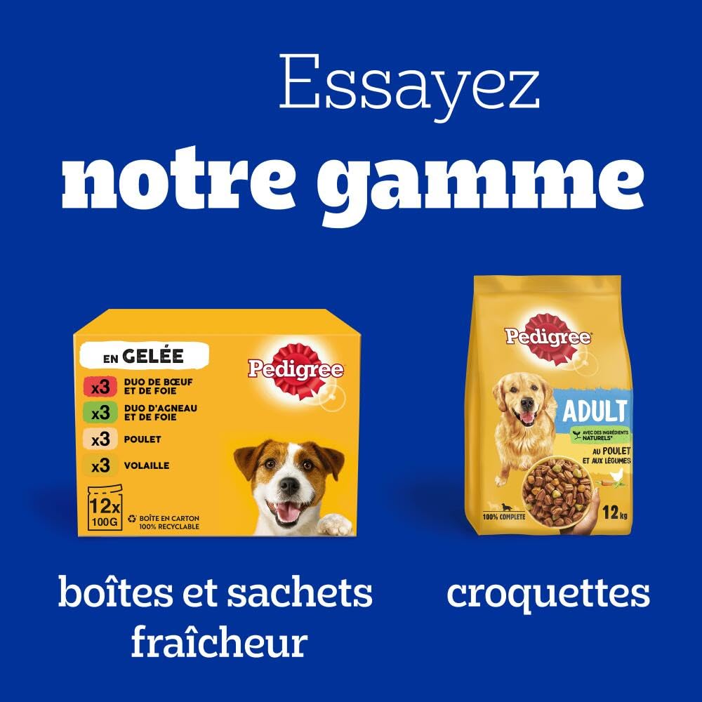 Pedigree Dentastix Chewy Chunx – Pour moyen/grand chien (15+ kg) – Friandises au poulet – Pour une bonne hygiène bucco-dentaire – 5 sachets de 68g