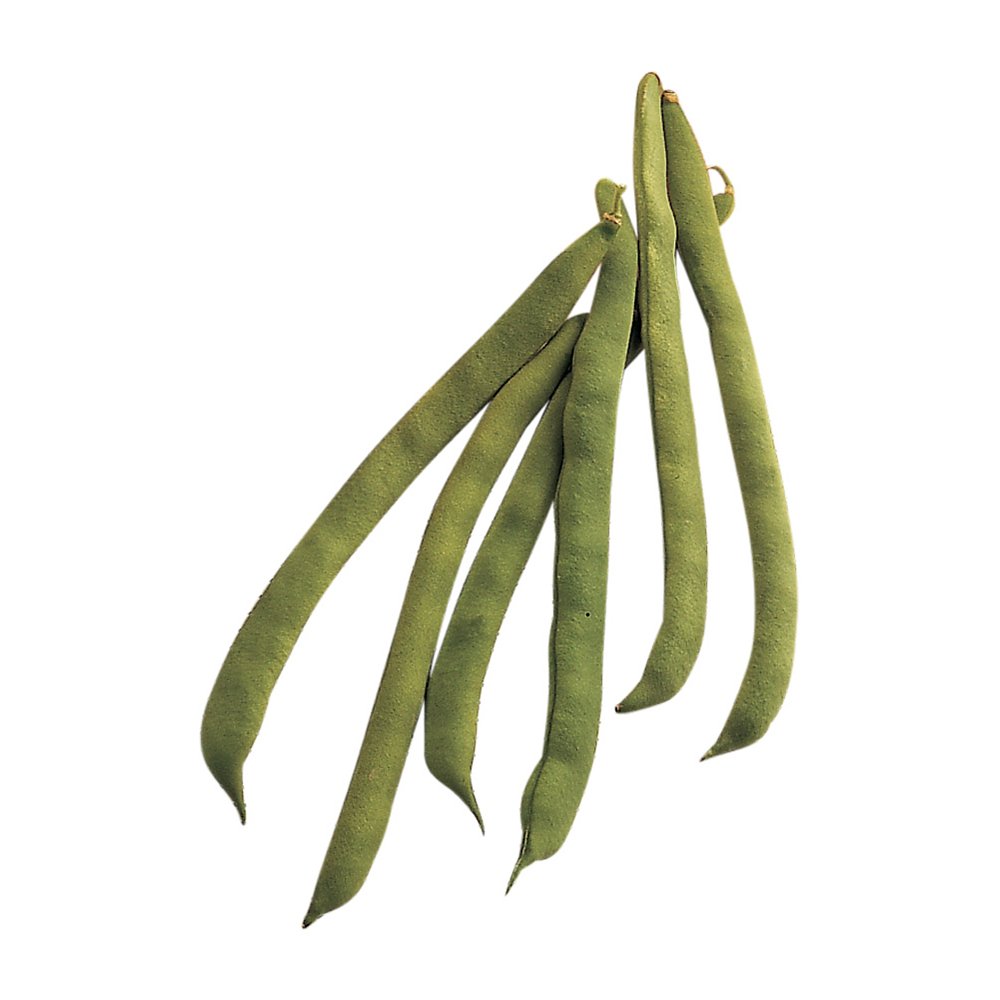 Paquete: Semillas De Frijoles Largos Chinos + Pimiento