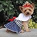 Nautical Dog Dress with Matching Leash (Small)