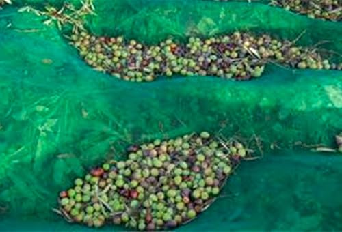 Miniatura 8 de Red de recolección de cosecha de frutas, nuez, oliva, castaño, ciruela, avellana, recolección, tamaño L32.8'xW16.4' (16.4x32.8 ft)