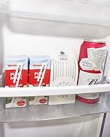 Vista 2 de Paquete de 4 bolsas de carbón de 7.05 oz con caja de plástico, carbón de bambú activado para purificación de aire para refrigerador, armario