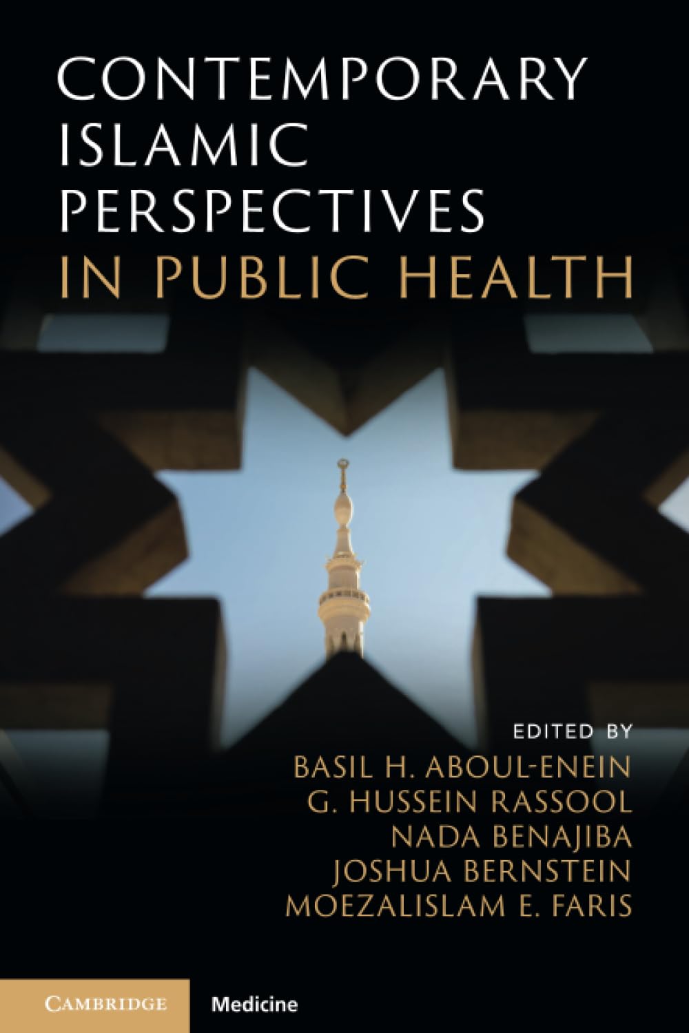 Contemporary Islamic Perspectives in Public Health