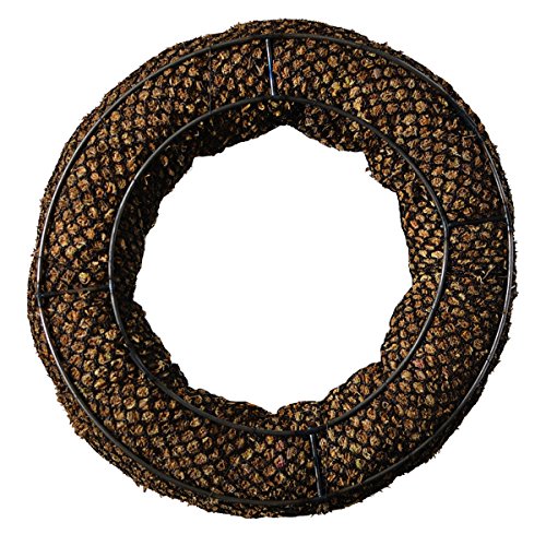 Mosser Lee KEW168 16" Living Wreath