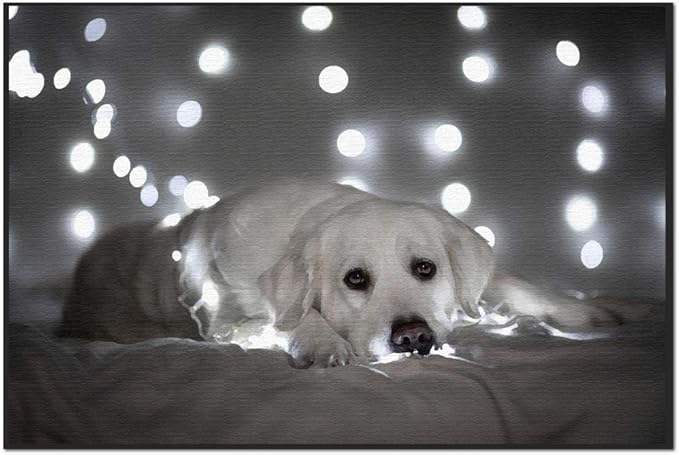 Amazon ゴールデンレトリバーペット犬動物フルラウンドドリルダイヤモンド塗装キットフルダイヤモンド美しいラインストーンクリスタルアート工芸品 刺しゅうキット 通販