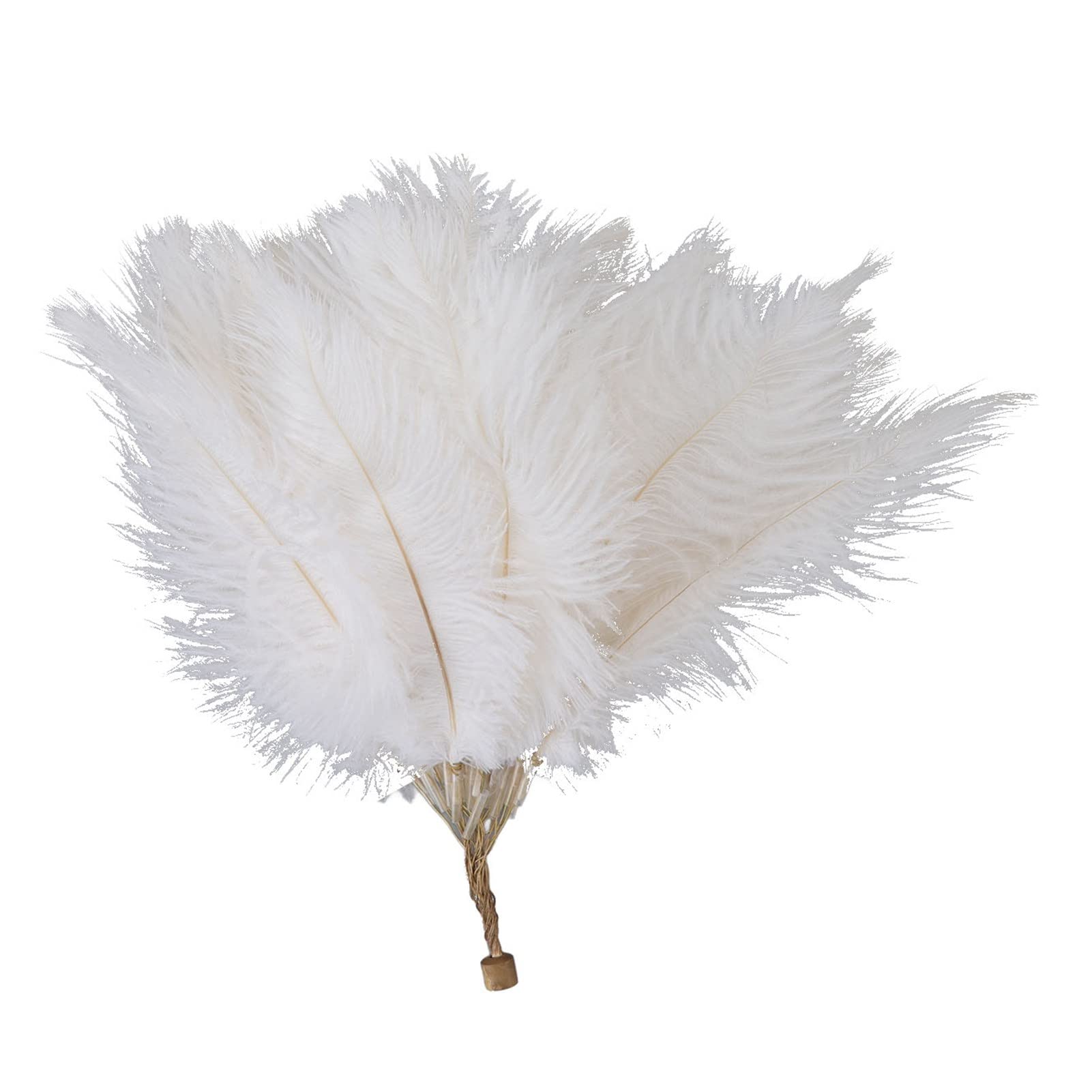Tonysa Feather Table Lamp with Touch Control, 3 Dimming