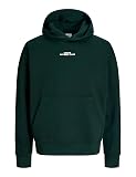 JACK & JONES Jjbay Sweat Hood