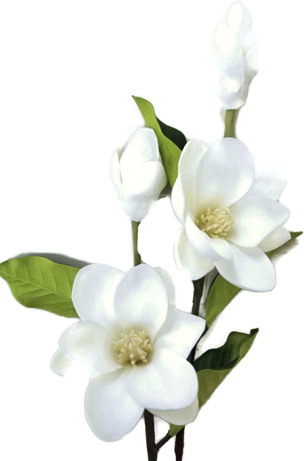 Floral Kingdom 25" Real Touch Artificial Magnolia Flowers - Home Decor, Wedding Bouquets, Mother’s Day (2 Pack Ivory White)