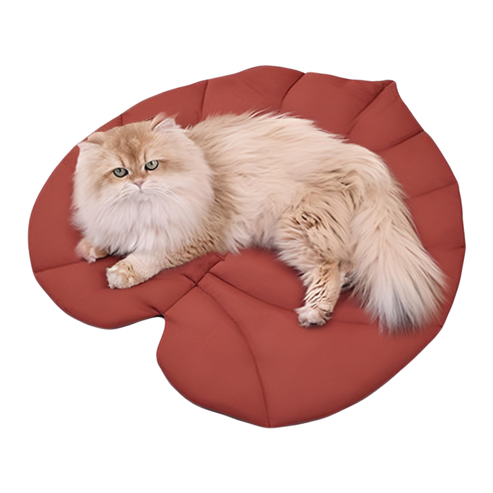 Matelas confortable pour voiture et canapé, tapis en feuille lavable pour chien
