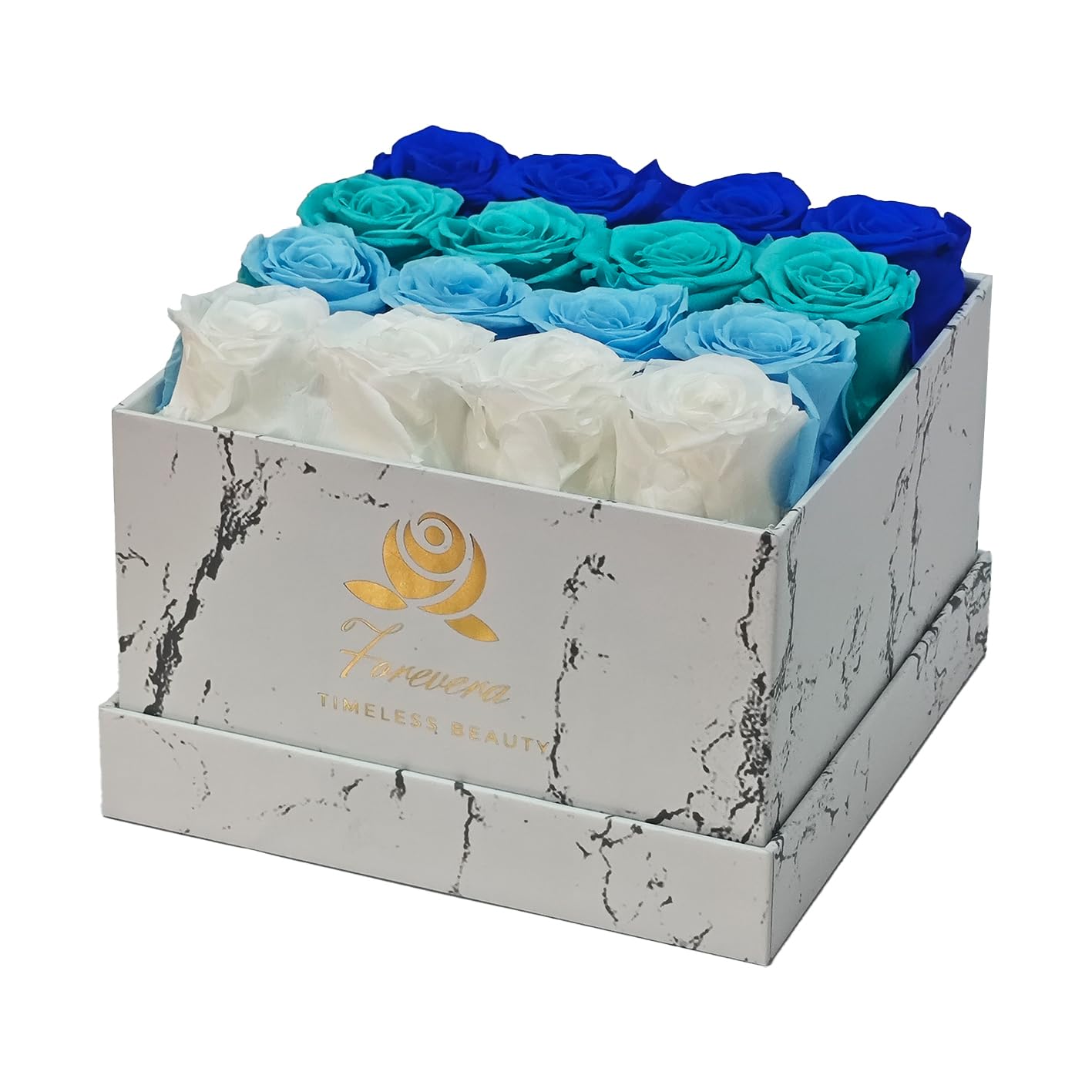 Amazon.com: Forevera Eternal Roses Box |16 Multi-Color Preserved