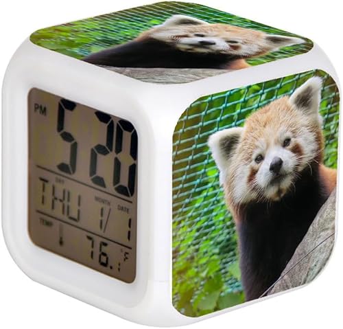 Reloj despertador digital LED con cambio de color de 7 colores con termómetro de alarma de fecha para el hogar de escritorio para niños, oso panda