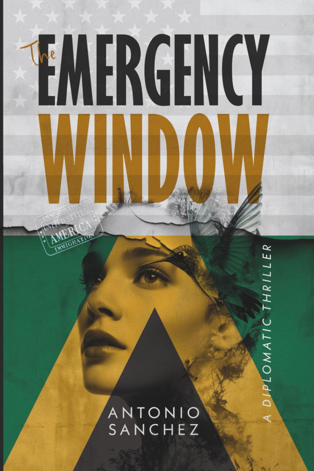 The Emergency Window: A Novel