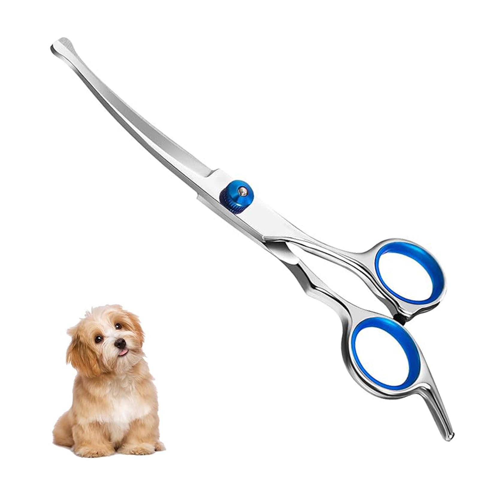 Ciseaux de toilettage pour chiens et chats en acier inoxydable, bleu, moderne