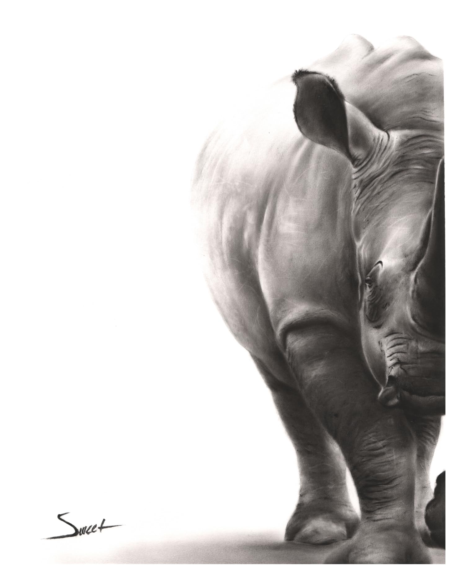White Rhino Wall Art by Eric Sweet | Rhino Decor, Rhino Print, Rhino Art | Art Print of Rhino