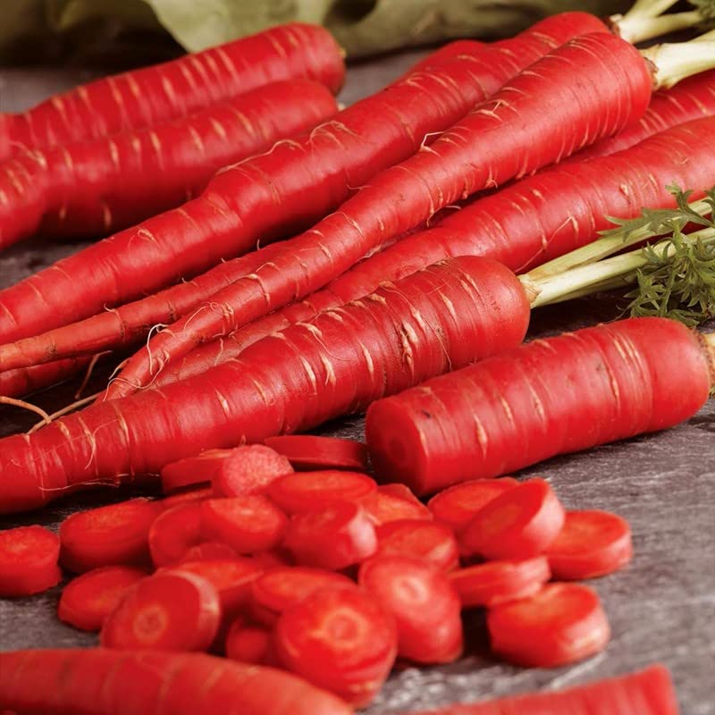 Udanta Seeds "Lal Gajar" Carrot Red Winter Vegetable Seeds For Kitchen Gardening (Pack Of 20-30 Seeds) on Affordable Pack (B0BLHC1LLV) Amazon Price History, Amazon Price Tracker