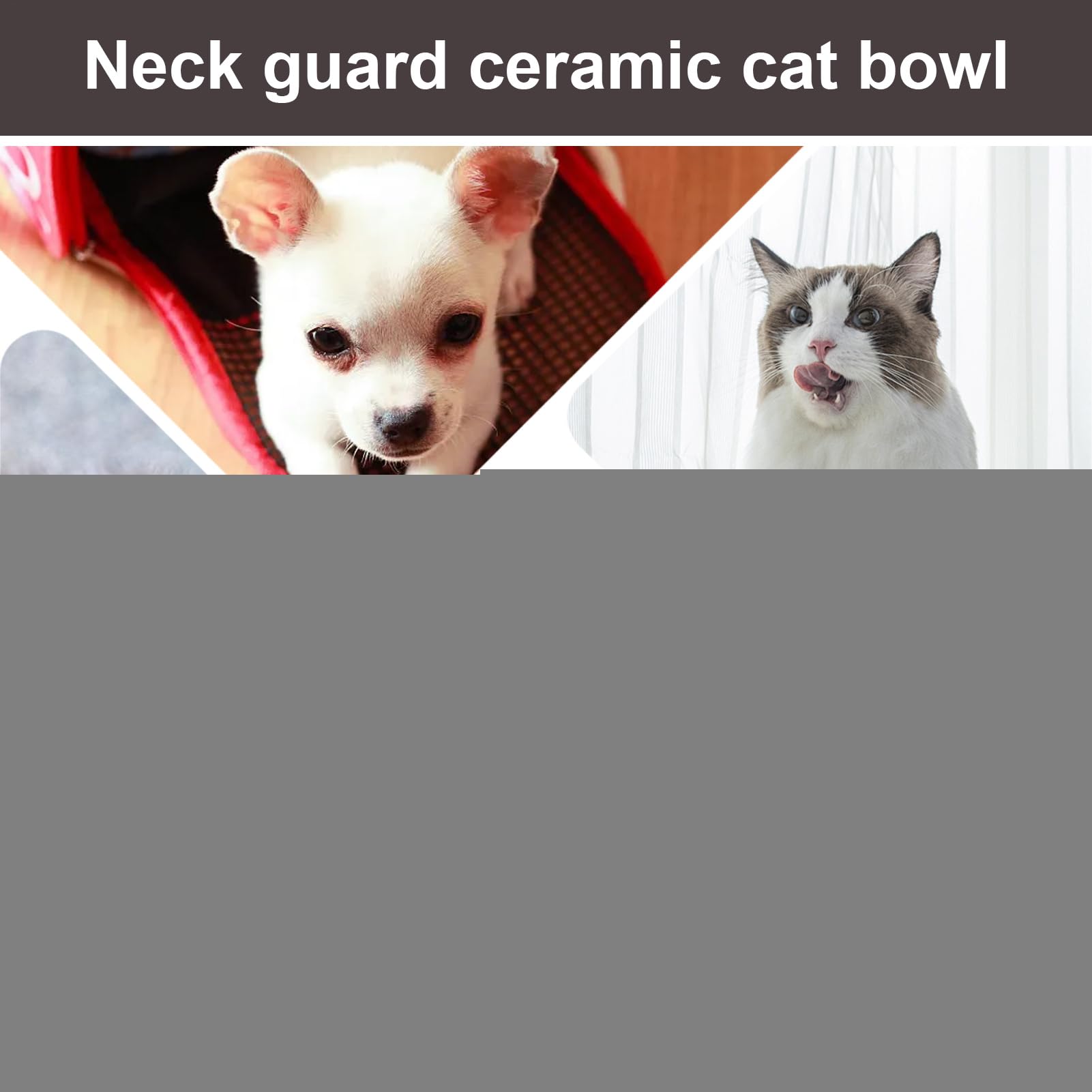 Fairy Cat Gamelle pour chat – Grand support en céramique, plat à bord