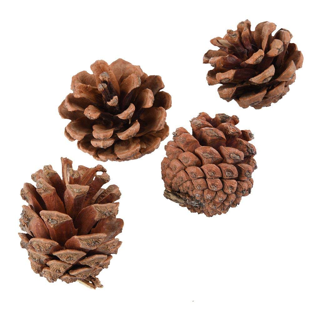 IUwnHceE 4 Pcs/pack Pine Cones Chew Toys for Small Pet Hamster Ch illas Guinea Pig