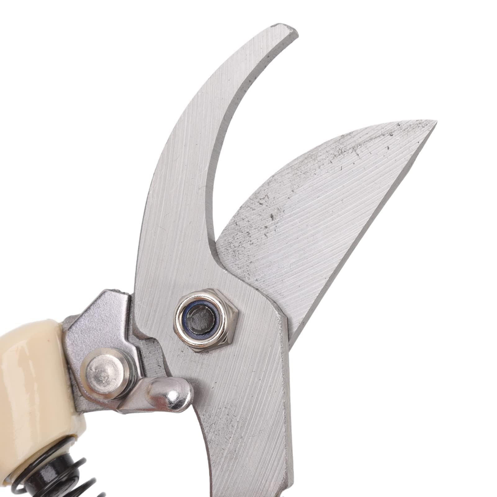 5 Pièces Ensemble D'Outils de Bonsaï, Ensemble D'Outils de Jardinage Succulents en Acier Au Carbone avec Poignée Ergonomique, Ciseaux À Bonsaï Professionnels Râteau Coupe Branches Sécateurs