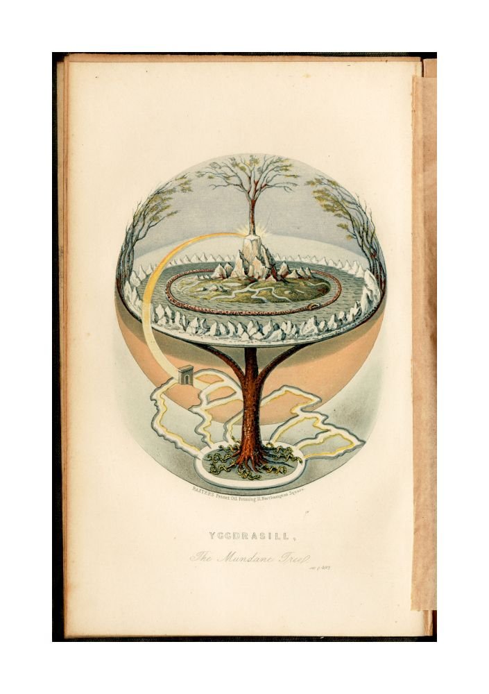 Amazon.com: 1859 Map Yggdrasill, the mundane tree In Norse