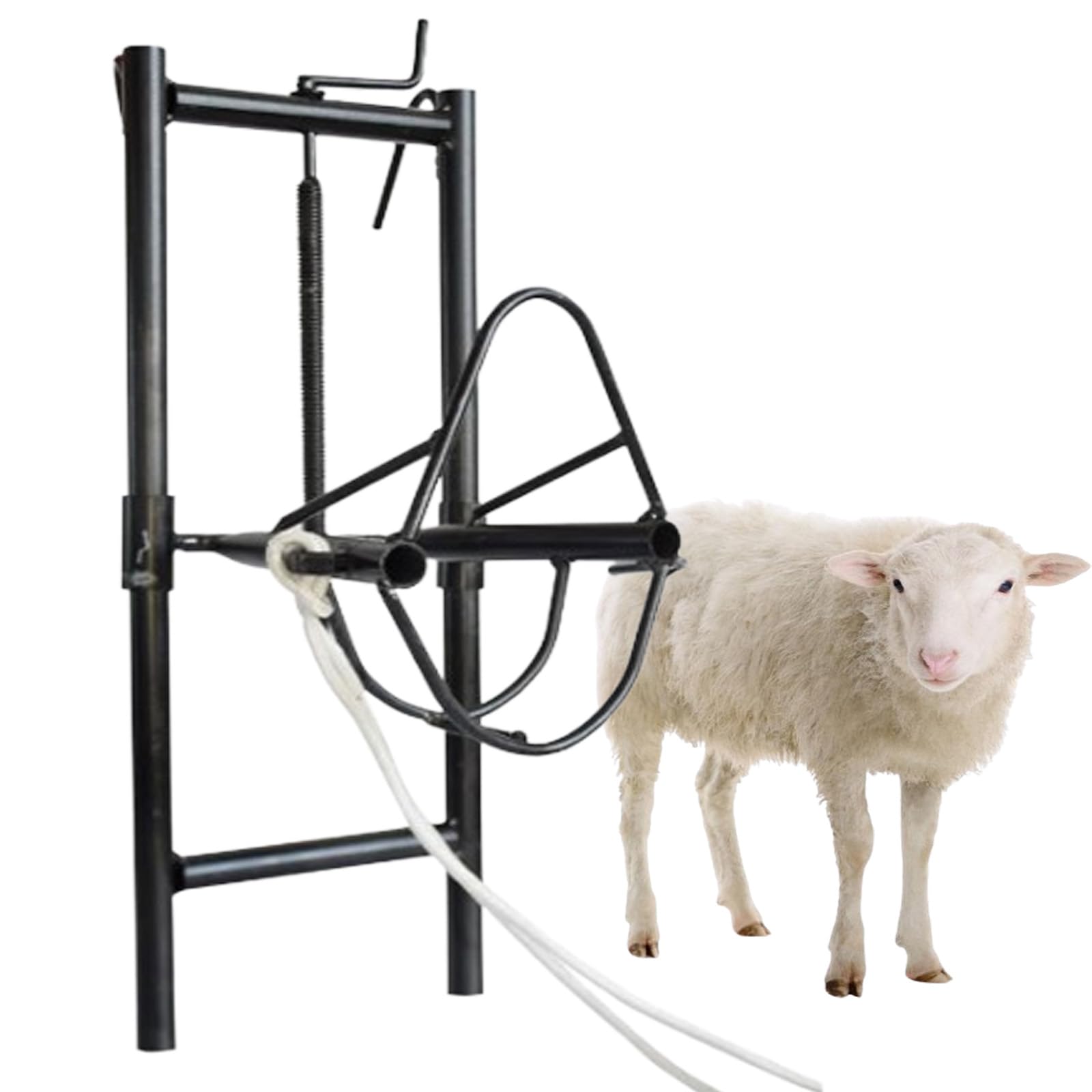 Sheep Head Holder, Adjustable Goat Trimming Stand, Multifunctional Livestock Accessory for Sheep and Goats