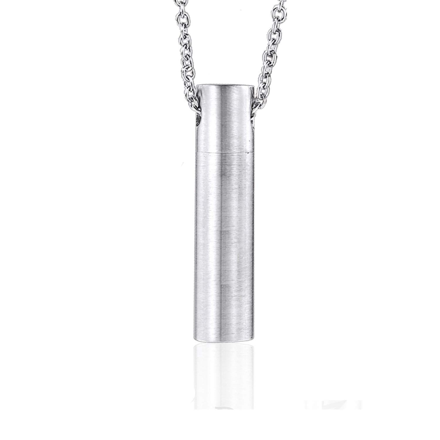 ZDBDH Ashes Necklace for Dog Cat Pet Paw Print Brushes Stainless Steel Bar Cylinder Cremation Pendant Necklace, Cremation Jewelry Keepsake Memorial Bereavement Gift,20