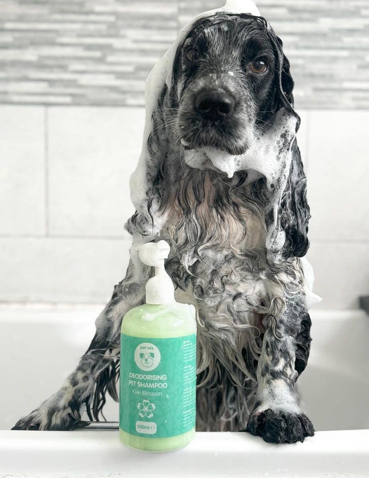pet wiz Super Deodorising Pet Shampoo with Kiwi Blossom, Green - Image 2