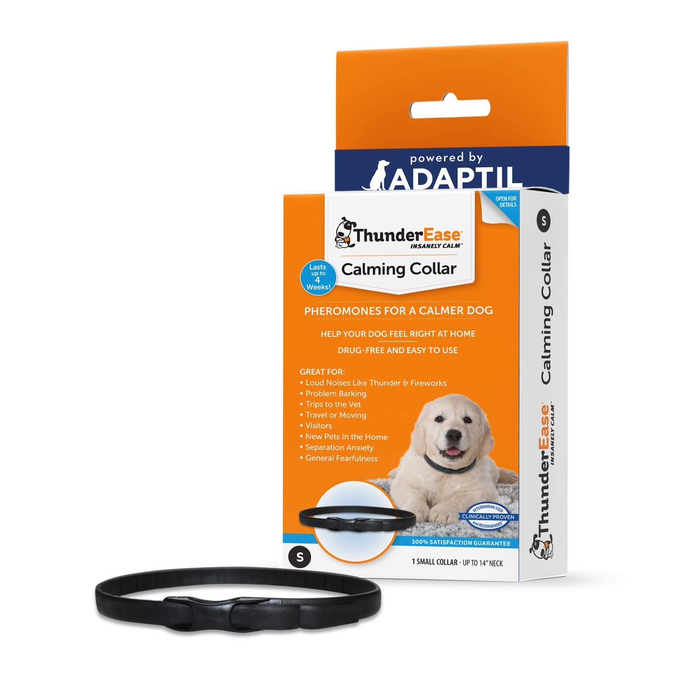 What Is The Best Anxiety Medication For Dogs